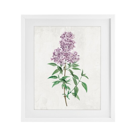 Stupell Industries Lilac Blossoms Blooms Framed Print Under Glass, design by Kim Allen